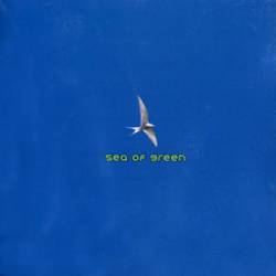 Sea Of Green : Time to Fly